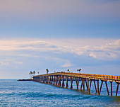 Brücke zu Insel, Kalifornien, USA