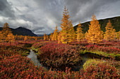 Kleiner Fluss im Herbst in der Region Oblast Magadan, Sibirien, Russland