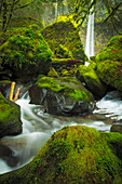 Fluss und moosbedeckte Flusssteine, Elowah Falls, Columbia River Gorge, Oregon