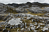 Kalksteinfelsformationen, Schnee-Berge, Papua, Indonesien