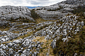 Kalksteinfelsformationen, Schnee-Berge, Papua, Indonesien