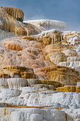 Travertinformationen, Palette Spring, Mammoth Hot Springs, Yellowstone-Nationalpark, Wyoming