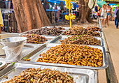 A stall selling various insects in the night market in Kamala in Phuket, Thailand, Southeast Asia, Asia