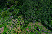 Cape Verde, San Antao Island, aireal shot, farm, agriculture