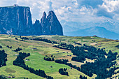 Seiser Alm mit Schlern, Compatsch, Südtirol, Alto Adige, Italien