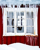 Frozen icicles on a traditional Rorbu window in winter, Nordland, Lofoten Islands, Norway, Europe