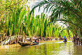 Segeln durch die Nebenflüsse des Mekong-Flusses, Vietnam, Indochina, Südostasien, Asien
