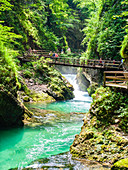 Der Fluss Radovna fließt durch die Vintgar-Schlucht bei Bled, Slowenien, Europa