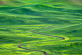 Winding irrigation ditch through rolling hills in rural landscape, Palouse, Washington, USA