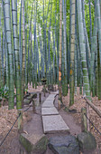 Steinskulpturen im Bambuswald, Japan
