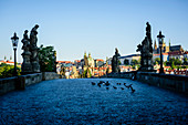 Tauben auf Ziegelsteinweg im Prager Stadtbild, Tschechien