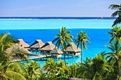 Palmen mit Blick auf den tropischen Ferienort, Bora Bora, Französisch-Polynesien