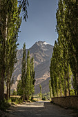 Allee im Wakhan im Pamir, Tadschikistan, Asien