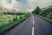 Road, Sao Miguel, Azores, Portugal, Atlantic, Atlantic Ocean, Europe