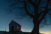 Small chapel next to a large tree in backlight in the evening. Seehausen, Starberger See, Bavaria, Germany