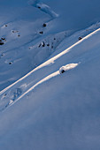 Extremskifahrer bei der Abfahrt, Hochfügen, Tirol, Zillertal