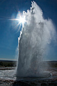 Geyser Fountain Strokkur on the Golden Circle in backlight, Iceland, Europe