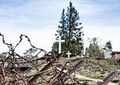 Gedenkstätte Lingekopf, Ehemaliges Schlachtfeld aus dem Ersten Weltkrieg, Orbey, Elsass, Frankreich, Europa