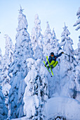 Skifahrer im Sprung vor verschneiten Bäumen, Hochzillertal, Tirol, Österreich