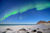 Polarlicht über Meeresbucht, Polarlicht, Nordlicht, Lofoten, Nordland, Norwegen