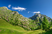 Alpine meadows in front of Monte Talvena, Anello della Val Vescova, Schiara, Bellunesian Dolomites National Park, Dolomites, Dolomites UNESCO World Heritage Site, Veneto, Italy