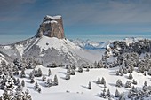 Regionaler Naturpark Vercors, Mont Aiguille (2086 m) aus dem Hochland von Vercors, Isère, Frankreich