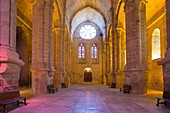 France, Aude, the nave of the abbey church Sainte Marie de Fontfroide cistercian abbey
