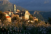France, Haute Corse, Balagne, Montegrosso, Montemaggiore village