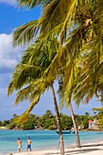 Frankreich, Guadeloupe (Französische Antillen), Marie Galante, Grand Bourg, Strand 3. Brücke