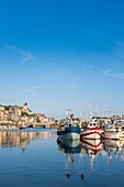 France, Seine Maritime, Le Treport, the fishing harbour