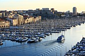 France, Bouches du Rhone, Marseille, Vieux Port, Rive Neuve dock, shuttle Chevalier Paul for the islands of Frioul