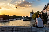France, Paris, the banks of the Seine river listed as World Heritage by UNESCO, Notre Dame Cathedral, Ile de la Cite, at sunset, view from Tournelle bridge