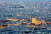 Frankreich, Paris, Gesamtansicht mit Kathedrale Notre Dame