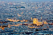 France, Paris, general view with Notre Dame cathedral