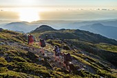 Frankreich, Corse du Sud, Wandern auf dem GR 20, zwischen der Usciolu-Schutzhütte und der Prati-Schutzhütte, Kamm Acqua Acelli