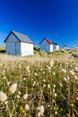 France, Manche, Cotentin, Gouville sur Mer, beach cabins