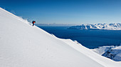 Descent in powder snow in the best weather over the fjord of Dalvík, Tröllaskagi, Iceland