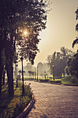 2017, Govardhan, Vrindavan, Uttar Pradesh, India, path in the Sri Sri Radha Brijvasundhara resort