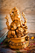 2019, Ter Kadamba, Govardhan, Vrindavan, Uttar Pradesh, India, Shiva Temple Asheshvara Mahadeva, Ganesha (Shiva's son)