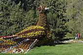 Pfau aus Blumen, Insel Mainau, Baden-Württemberg, Deutschland