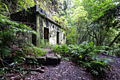 View of an old generator house on a hiking trail in the laurel forest of Los Tilos, UNESCO biosphere reserve, La Palma, Canary Islands, Spain, Europe