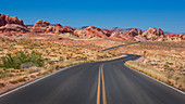 Straße durch die Wüste im Valley of Fire, USA\n