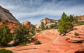 Rote Felsen mit grüner Vegetation im Zion Nationalpark, USA\n