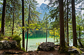 Nationalpark Berchtesgaden, Berchtesgadener Land, Oberbayern, Bayern, Deutschland, Europa