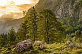 Idyllische Landschaft am Königssee bei Salet, Nationalpark Berchtesgaden, Berchtesgadener Land, Oberbayern, Bayern, Deutschland, Europa