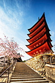 Cherry blossom at Komyoin five story pagoda, UNESCO World Heritage Site, Miyajima Island, Hiroshima Prefecture, Honshu, Japan, Asia