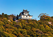 Burg Iwakuni, Iwakuni, Präfektur Yamaguchi, Honshu, Japan, Asien