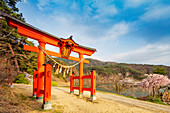 Torii-Tor eines Shinto-Schreins, Matsumoto, Präfektur Nagano, Honshu, Japan, Asien