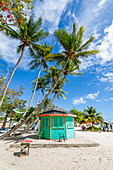 View of palm tree fringed Worthing Beach, Barbados, West Indies, Caribbean, Central America