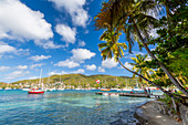 Boote in Port Elizabeth, Admiralty Bay, Bequia, The Grenadines, St. Vincent und The Grenadines, Windward Islands, Westindische Inseln, Karibik, Mittelamerika